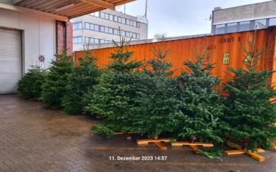 Weihnachtsbäume für soziale Einrichtungen